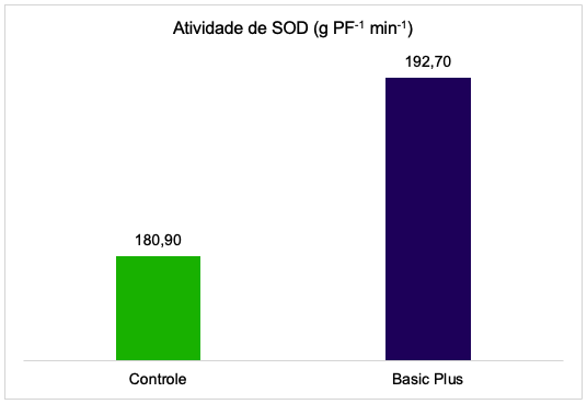 Gráfico de atividade de SOD